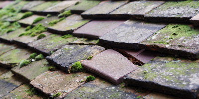 Bassaleg roof repair costs